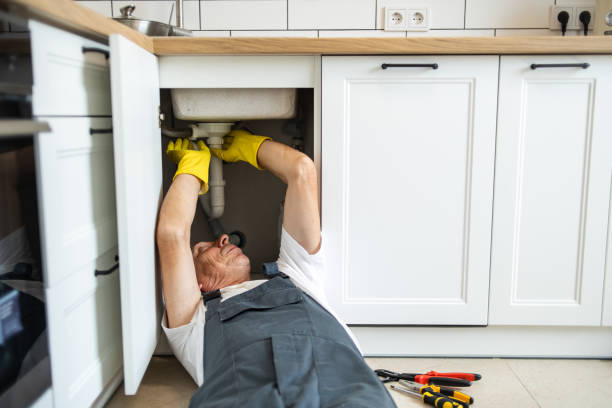 Best Plumbing Services Near Me  in Excelsior Springs, MO