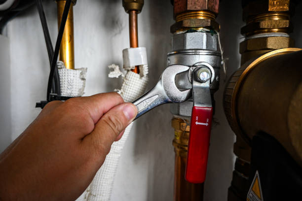 Best Local Plumber Services  in Excelsior Springs, MO